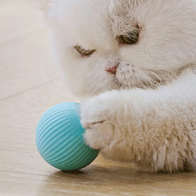 PetJoy Smart Ball