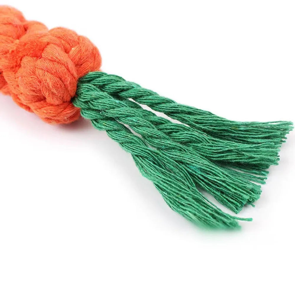 Carrot Rope Dog Toy