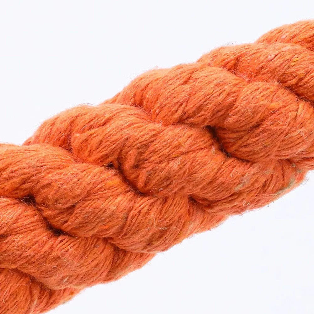 Carrot Rope Dog Toy