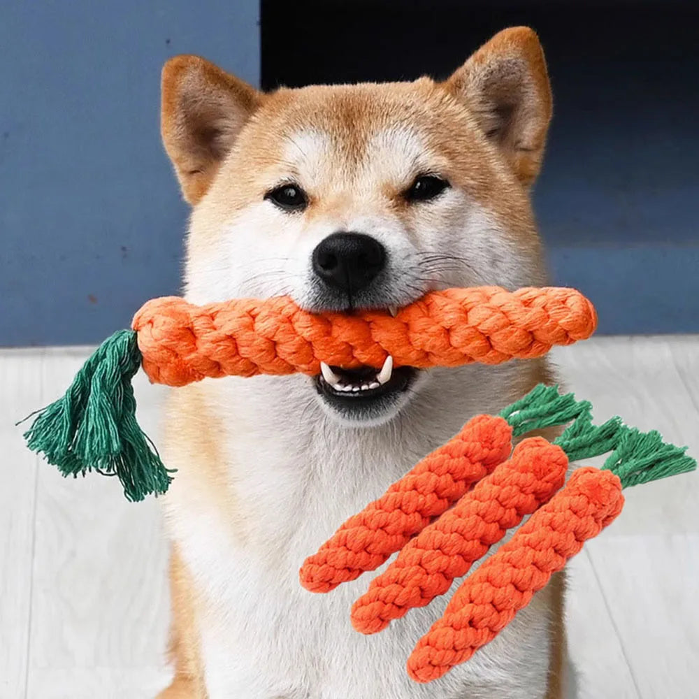 Carrot Rope Dog Toy